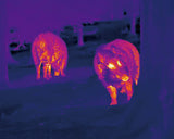 NocPix Lumi Series P13 Handheld Lightweight Thermal Imaging Monocular