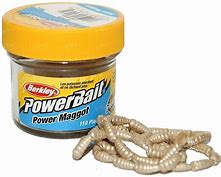 Berkley Powerbait Long Lasting Power Maggot for Coarse Fishing Roach Bream Carp Rudd Tench