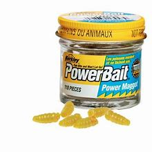 Berkley Powerbait Long Lasting Power Maggot for Coarse Fishing Roach Bream Carp Rudd Tench