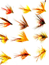 Fly Fishing Assortment of Irish Wet Lough and River Trout Flies