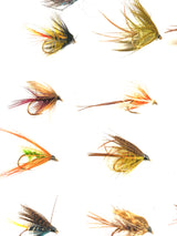 Fly Fishing Assortment of Irish Wet Lough and River Trout Flies