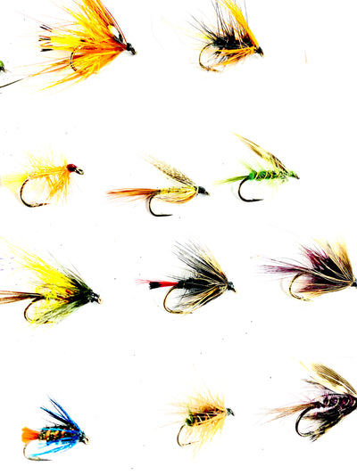 Fly Fishing Assortment of Irish Wet Lough and River Trout Flies