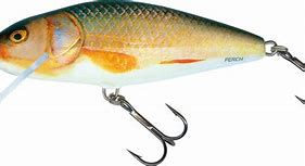 Salmo Perch Crank Bait 12cm Trout/Pike/Perch/Predator Fishing Lure